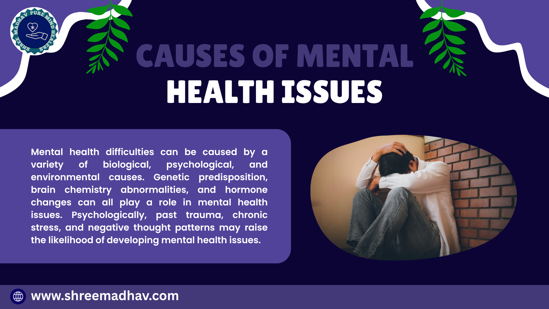 purpule contras images (3)